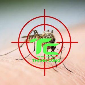 Muỗi sợ mùi gì? Tìm hiểu các mùi hương đuổi muỗi hiệu quả 20 muỗi sợ mùi gì