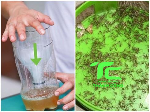 bẫy muỗi hiệu quả nhất
