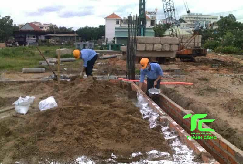 cách chống mối cho nhà mới xây