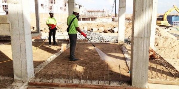 Cách chống mối cho nhà mới xây – Những phương pháp hiệu quả bảo vệ ngôi nhà của bạn