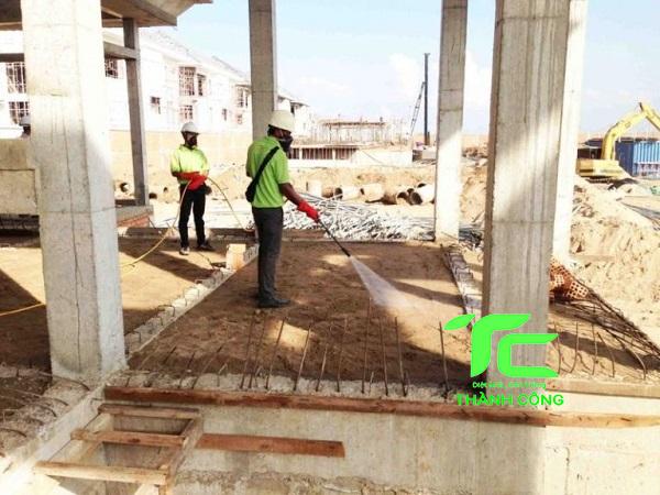 cách chống mối cho nhà mới xây