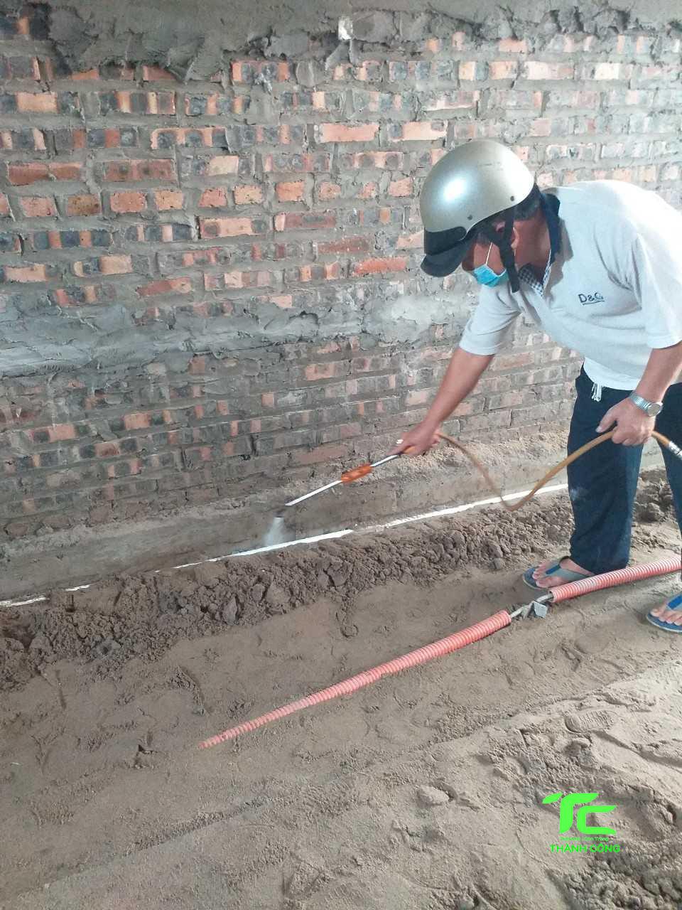 cách chống mối cho nhà mới xây