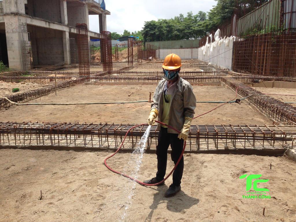 cách chống mối cho nhà mới xây