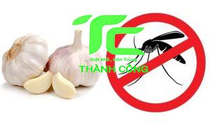 Cách đuổi muỗi hiệu quả tại nhà - Những phương pháp an toàn và đơn giản 21 Cách Đuổi Muỗi