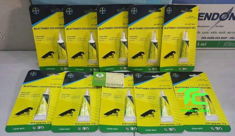 Dịch vụ diệt gián TpHCM