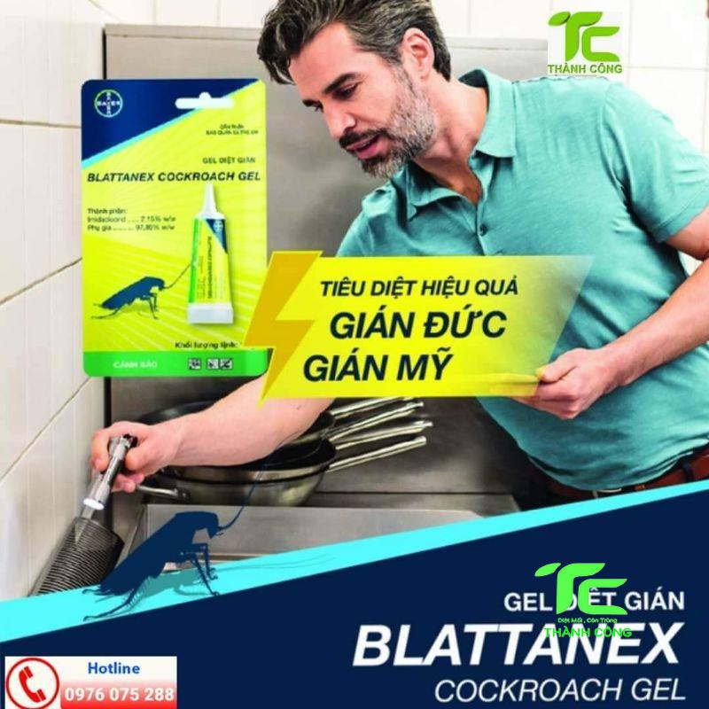 Dịch vụ diệt gián TpHCM