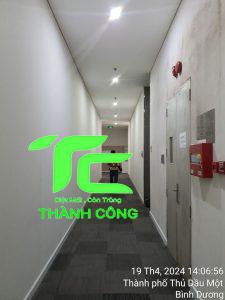 Dịch vụ diệt gián TpHCM uy tín, chuyên nghiệp, an toàn 17 Dịch vụ diệt gián TpHCM