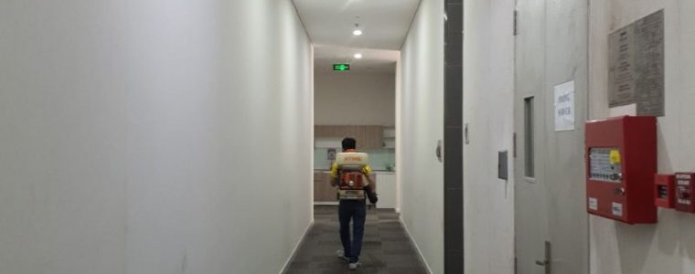 Dịch vụ diệt gián TpHCM