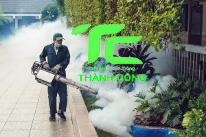 Dịch vụ diệt muỗi hiệu quả tại TP.HCM – Giải pháp an toàn cho gia đình bạn 4 dịch vụ diệt muỗi