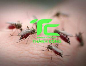 Muỗi sợ mùi gì? Khám phá những mùi hương đặc biệt giúp xua đuổi muỗi 9 muỗi sợ mùi gì