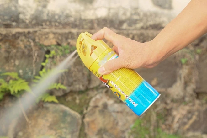 Thuốc diệt côn trùng có độc không? Tìm hiểu tác hại và cách sử dụng an toàn 6 thuốc diệt côn trùng có độc không