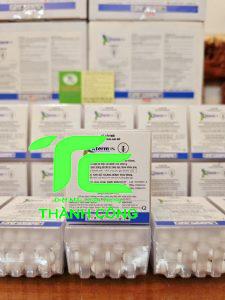 Dịch vụ diệt mối giá rẻ tại nhà – Bảo hành an toàn, tận gốc vĩnh viễn 17 diệt mối giá rẻ