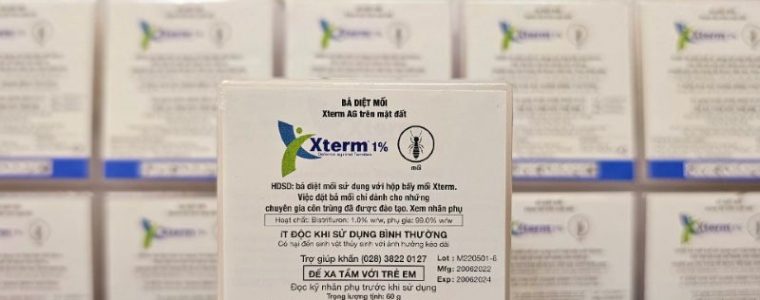 Dịch vụ diệt mối giá rẻ tại nhà – Bảo hành an toàn, tận gốc vĩnh viễn