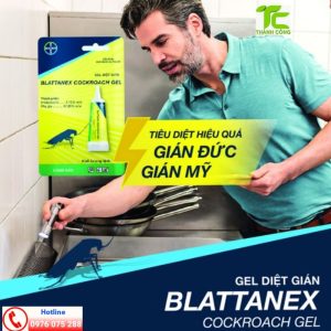 Những lưu ý khi sử dụng thuốc diệt gián tận gốc tại nhà, an toàn cho gia đình bạn 15 thuốc diệt gián tận gốc