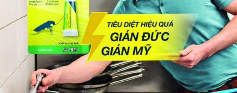 Những lưu ý khi sử dụng thuốc diệt gián tận gốc tại nhà, an toàn cho gia đình bạn