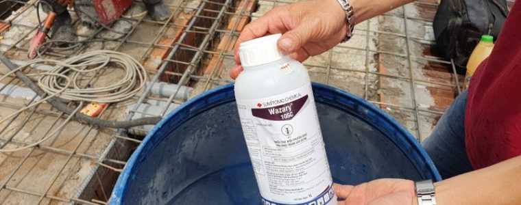 Thuốc diệt mối có độc không? Lưu ý gì khi sử dụng để bảo vệ sức khỏe