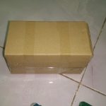 tự làm bẫy mối bằng hộp carton