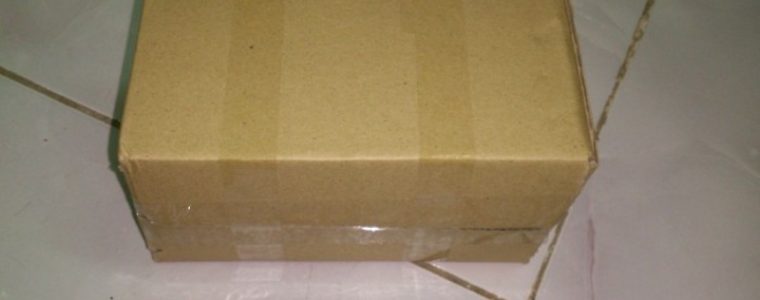 Tự làm bẫy mối bằng hộp carton – Giải pháp đơn giản, tiết kiệm để diệt mối tận gốc ngay tại nhà