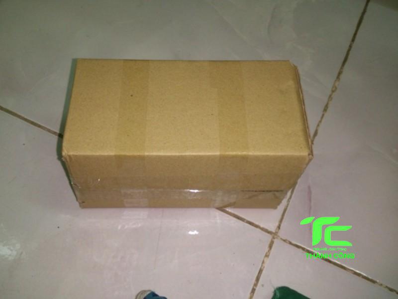tự làm bẫy mối bằng hộp carton