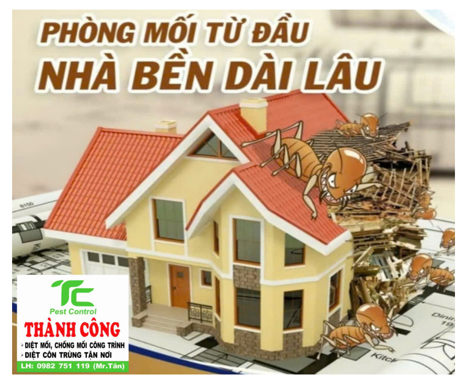 Giới thiệu 11 h2