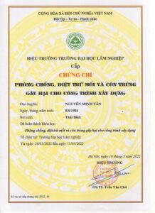 z5805787598878 dbab23b65f31402947edc7287a28fa1f 1116x1536 1