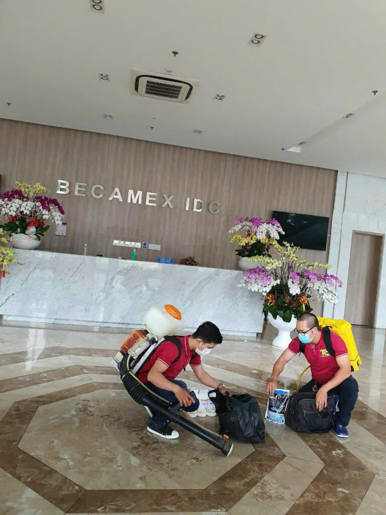 Diệt Mối Thành Công