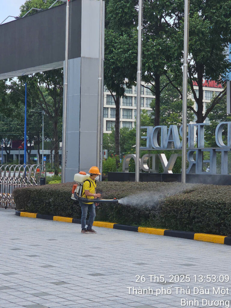 Diệt Mối Thành Công