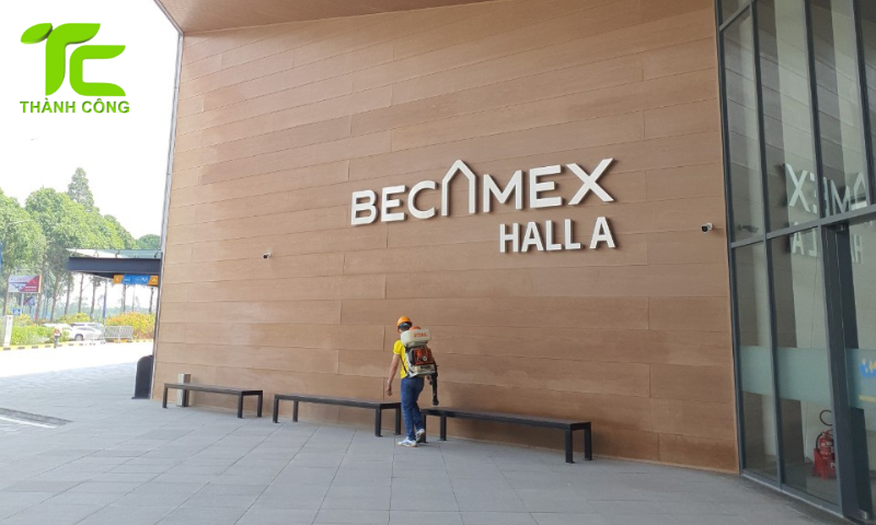 Dịch vụ diệt mối phường Tân Định – TpHCM