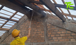 Dịch vụ diệt mối phường Hòa Hưng – TpHCM