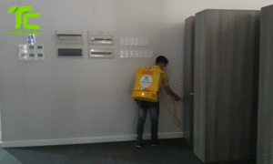 Dịch vụ diệt mối phường Tam Bình – TpHCM