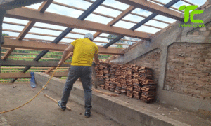 Dịch vụ diệt mối phường Linh Xuân – TpHCM