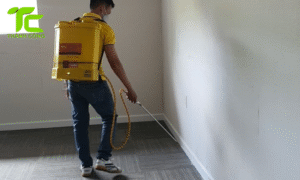 Dịch vụ diệt mối phường Phú Thọ Hòa – TpHCM