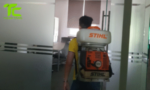 Dịch vụ diệt mối phường Thủ Đức – TpHCM