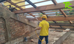 Dịch vụ diệt mối phường Hòa Hưng – TpHCM