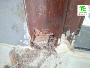 Dịch vụ diệt mối phường Chợ Quán