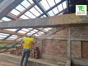 Dịch vụ diệt mối phường Linh Xuân – TpHCM