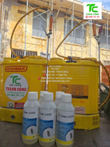 Dịch vụ diệt mối phường Vĩnh Hội