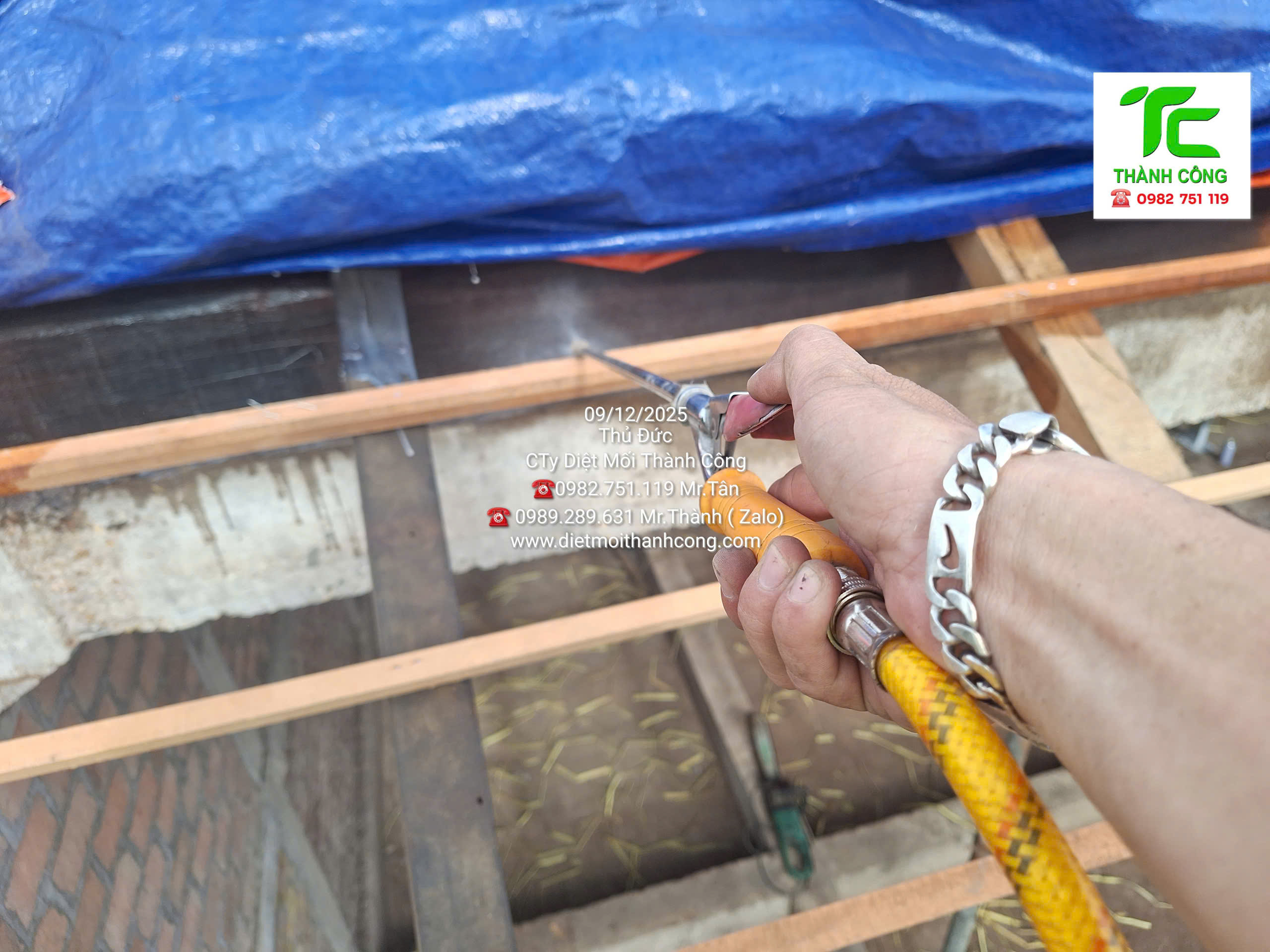 Dịch vụ diệt mối phường Chợ Quán