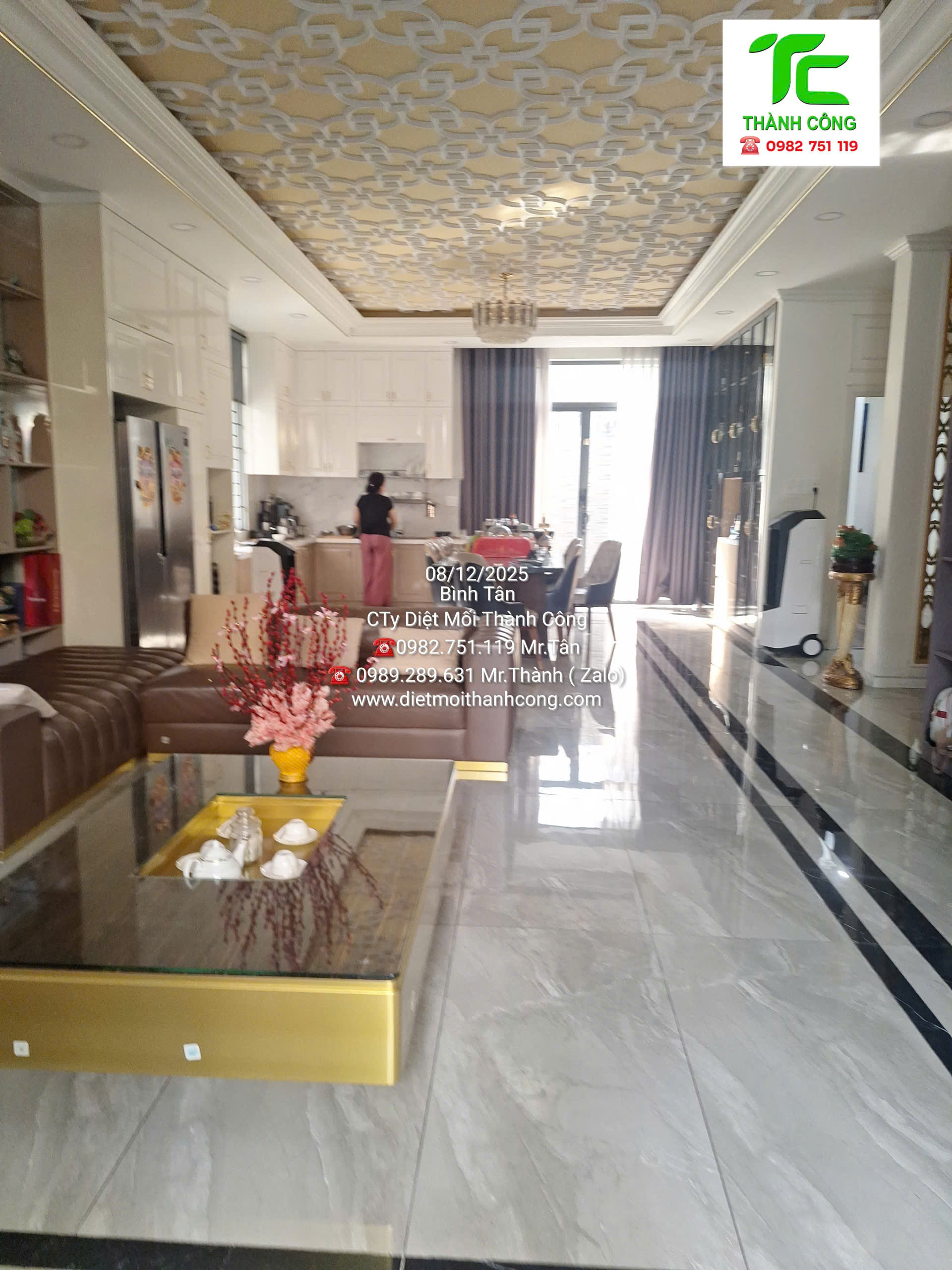 Dịch vụ diệt mối phường Chợ Lớn: Bả sinh học/thuốc chuyên dụng, hiệu quả bền 7 Dịch vụ diệt mối phường Chợ Lớn