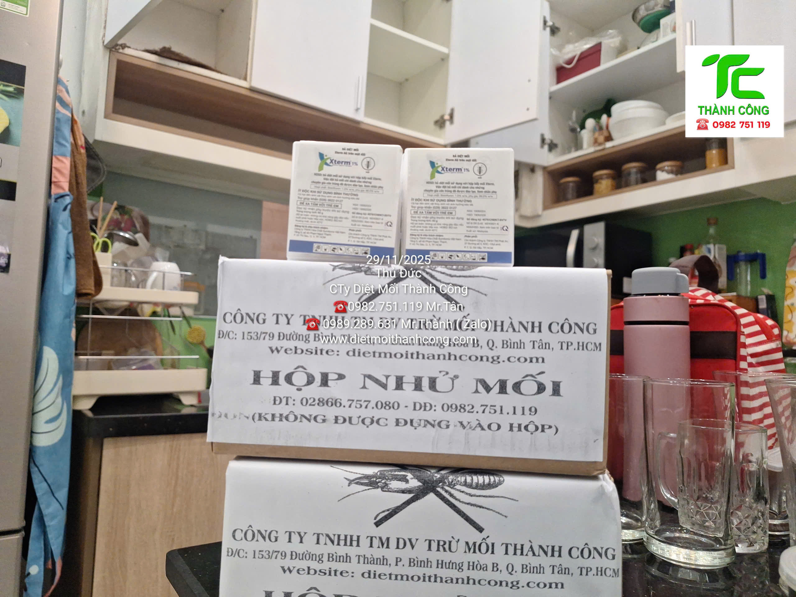 Dịch vụ diệt mối phường Cầu Ông Lãnh uy tín: Khảo sát nhanh – xử lý triệt để 8 Dịch vụ diệt mối phường Cầu Ông Lãnh