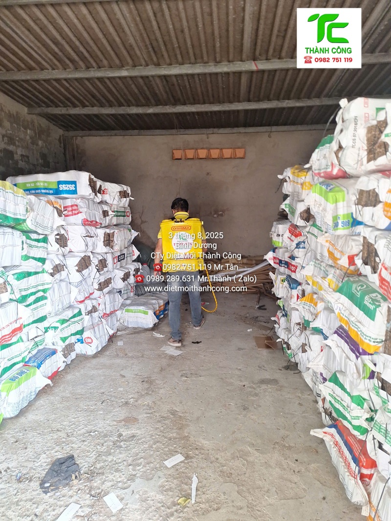 Dịch vụ diệt mối phường Bình Hưng Hòa – TpHCM 6 Các phương thức diệt mối hiện đại của Thành Công tại phường Bình Hưng Hòa