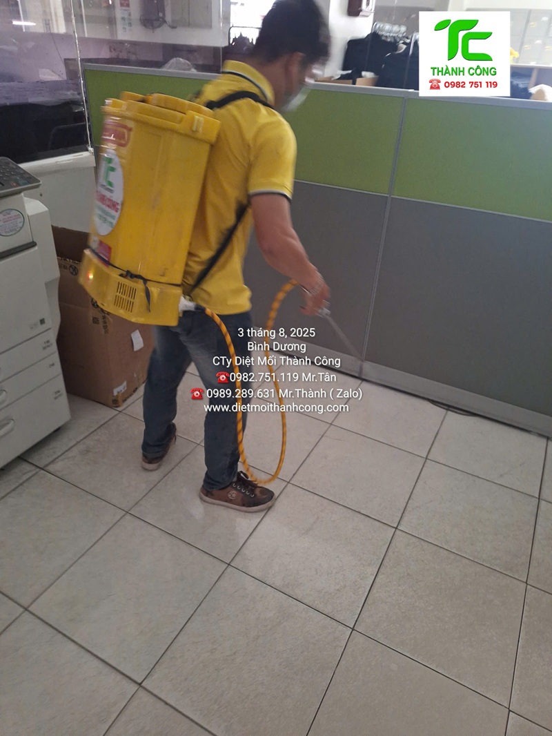 Dịch vụ diệt mối phường Bình Hưng Hòa – TpHCM 7 Ưu điểm khi chọn dịch vụ diệt mối phường Bình Hưng Hòa – TpHCM của Thành Công