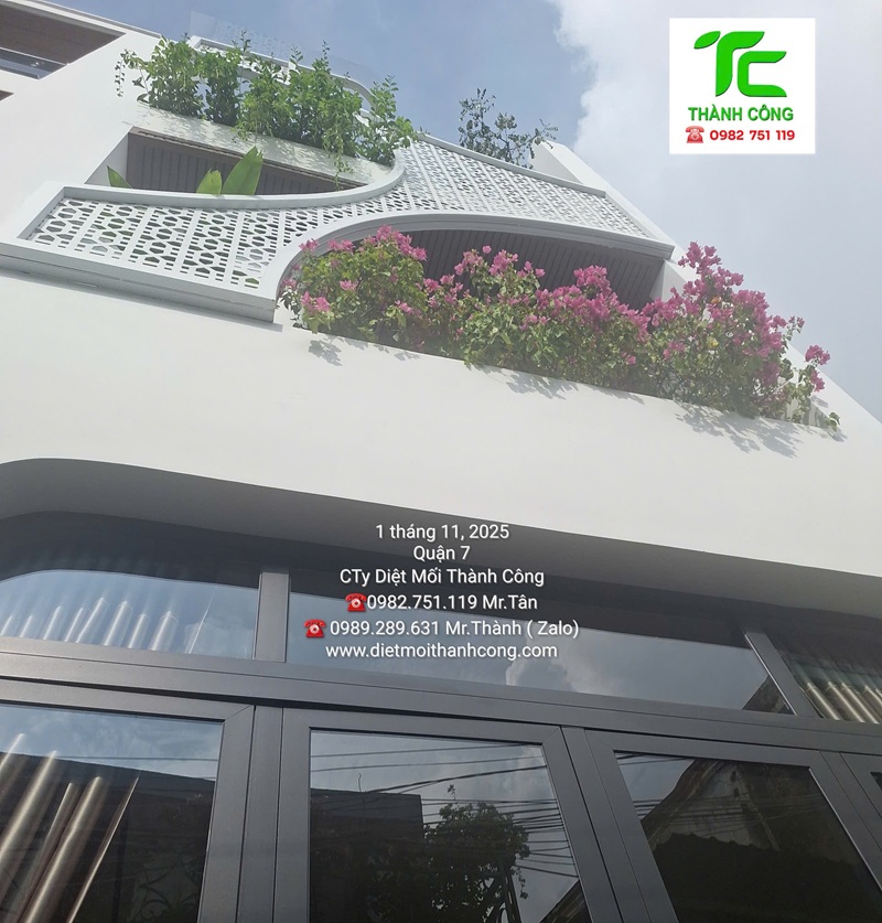 Dịch vụ diệt mối phường Bình Hưng Hòa – TpHCM 8 Các dấu hiệu nhận biết mối đang tấn công