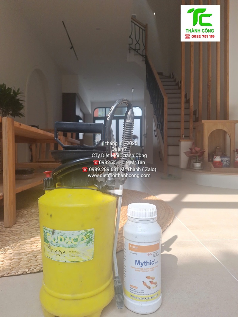 Dịch vụ diệt mối phường Bình Thạnh – TpHCM uy tín và chuyên nghiệp 5 Tại sao cần diệt mối tại phường Bình Thạnh ngay lập tức