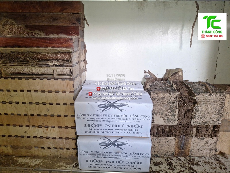 Dịch vụ diệt mối phường Bình Thạnh – TpHCM uy tín và chuyên nghiệp 7 Quy trình diệt mối tận gốc bằng phương pháp hóa sinh của Thành Công