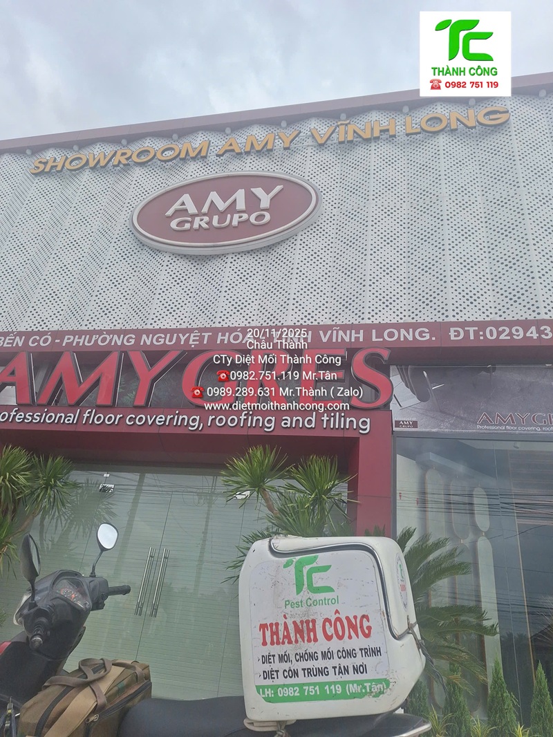 Dịch vụ diệt mối phường Bình Thạnh – TpHCM uy tín và chuyên nghiệp 8 Cách phòng ngừa mối quay lại hiệu quả sau khi xử lý