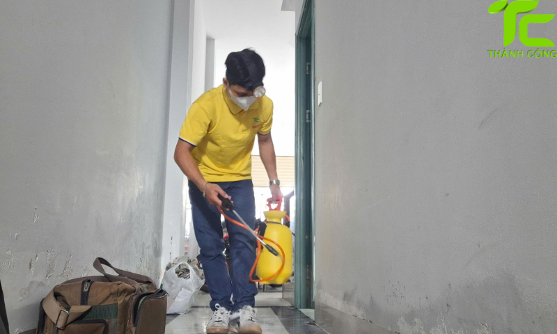 Dịch vụ diệt mối phường Chợ Lớn: Bả sinh học/thuốc chuyên dụng, hiệu quả bền 5 Dịch vụ diệt mối phường Chợ Lớn