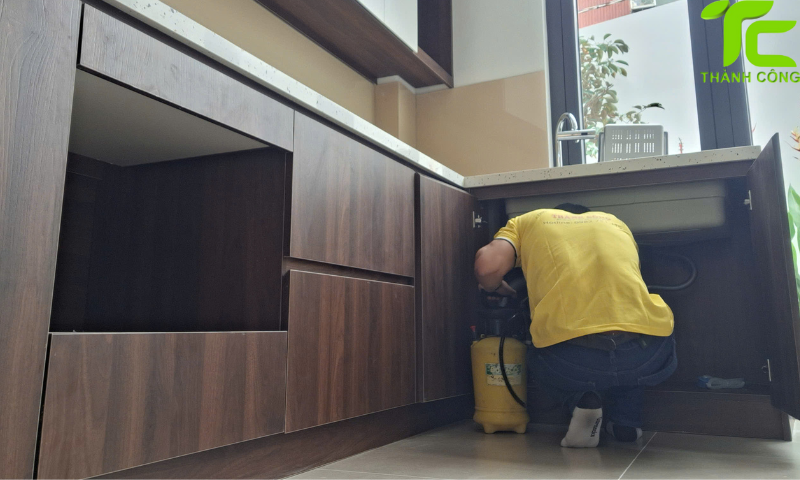 Dịch vụ diệt mối phường Phú Thọ – TpHCM uy tín và chuyên nghiệp 6 Dịch vụ diệt mối phường Phú Thọ – TpHCM