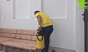 Dịch vụ diệt mối phường Đức Nhuận – TpHCM