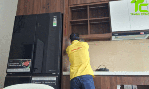 Dịch vụ diệt mối phường Phú Lâm – TpHCM